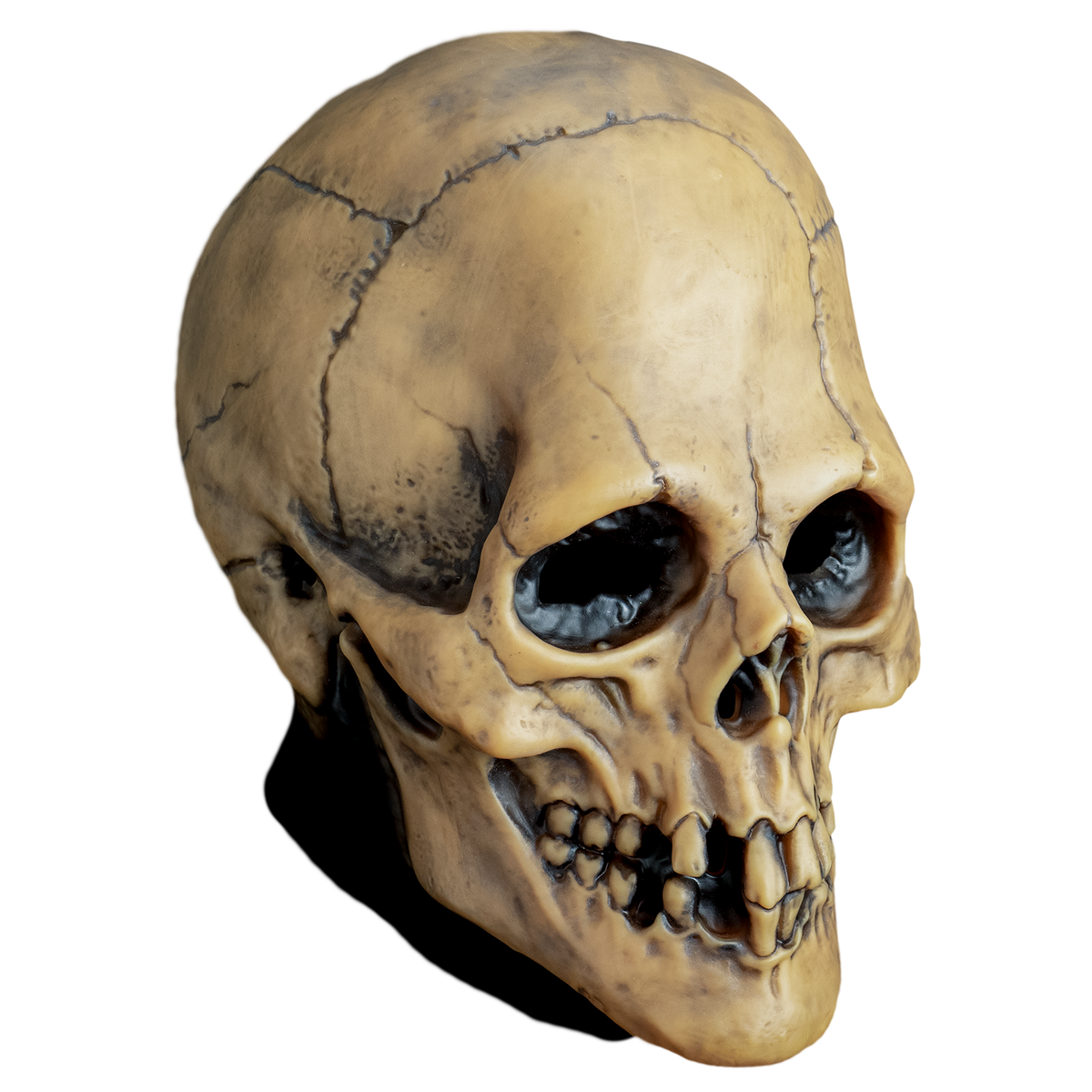 Máscara Calavera Vudú Envejecida, foto 3 de 3