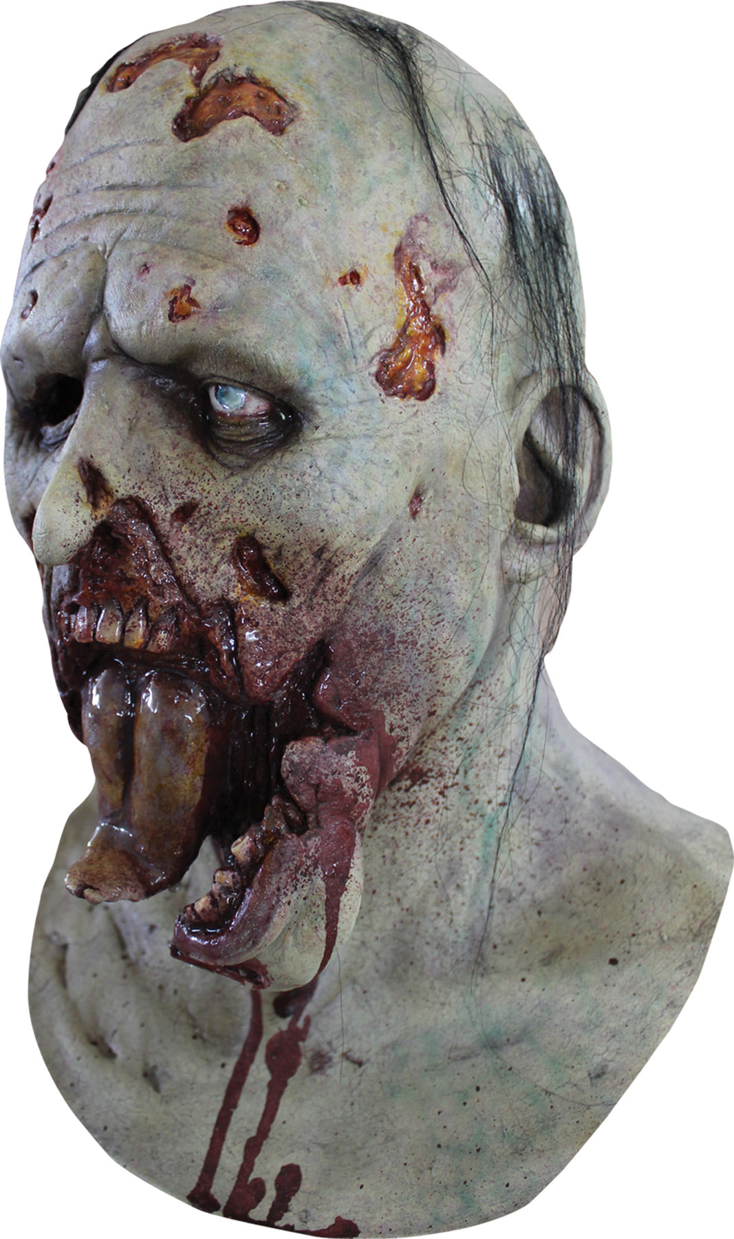 Máscara de Látex Zombie Completo, foto 1 de 1