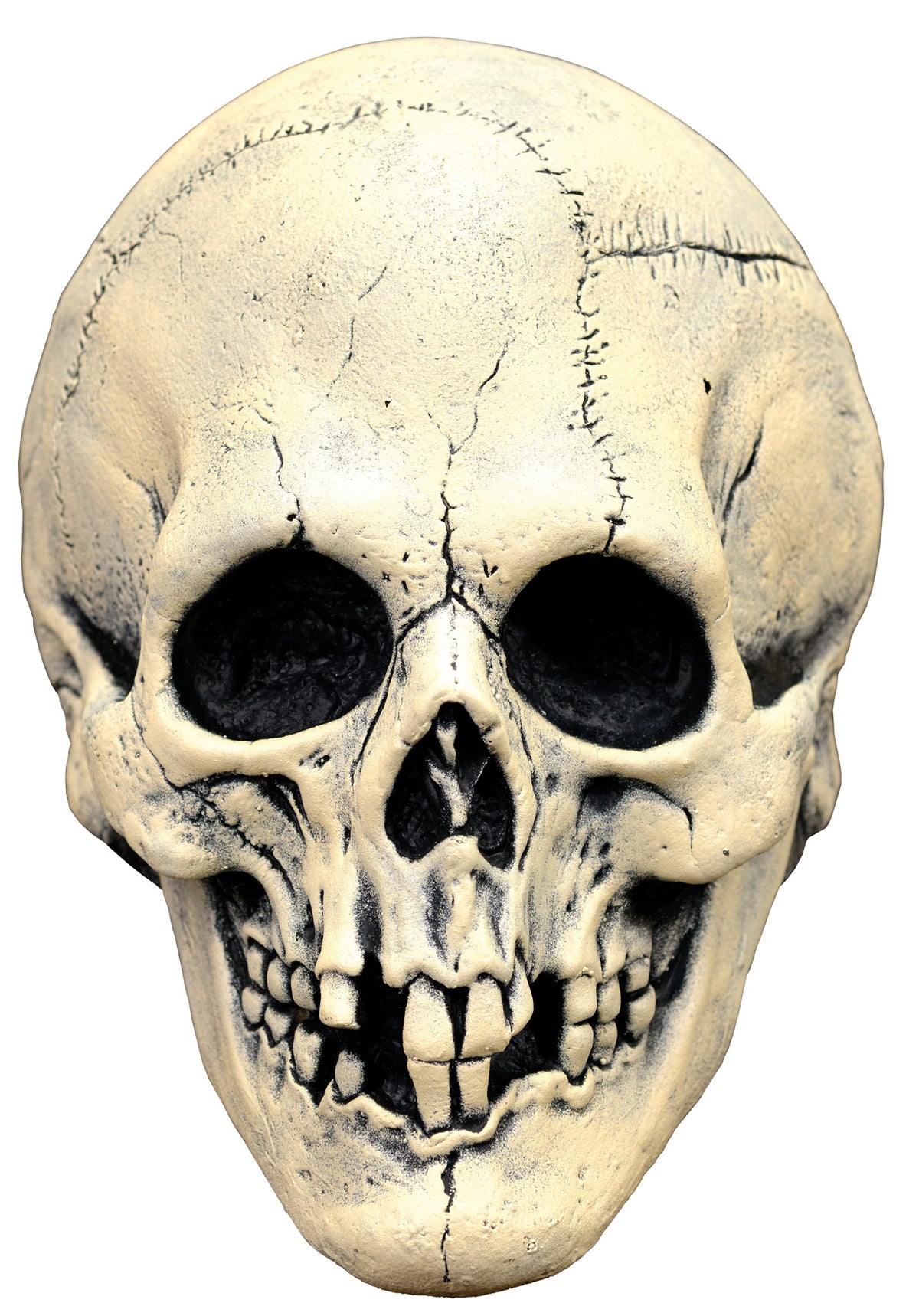 Máscara de Látex Calavera Búho Nocturno, foto 1 de 1