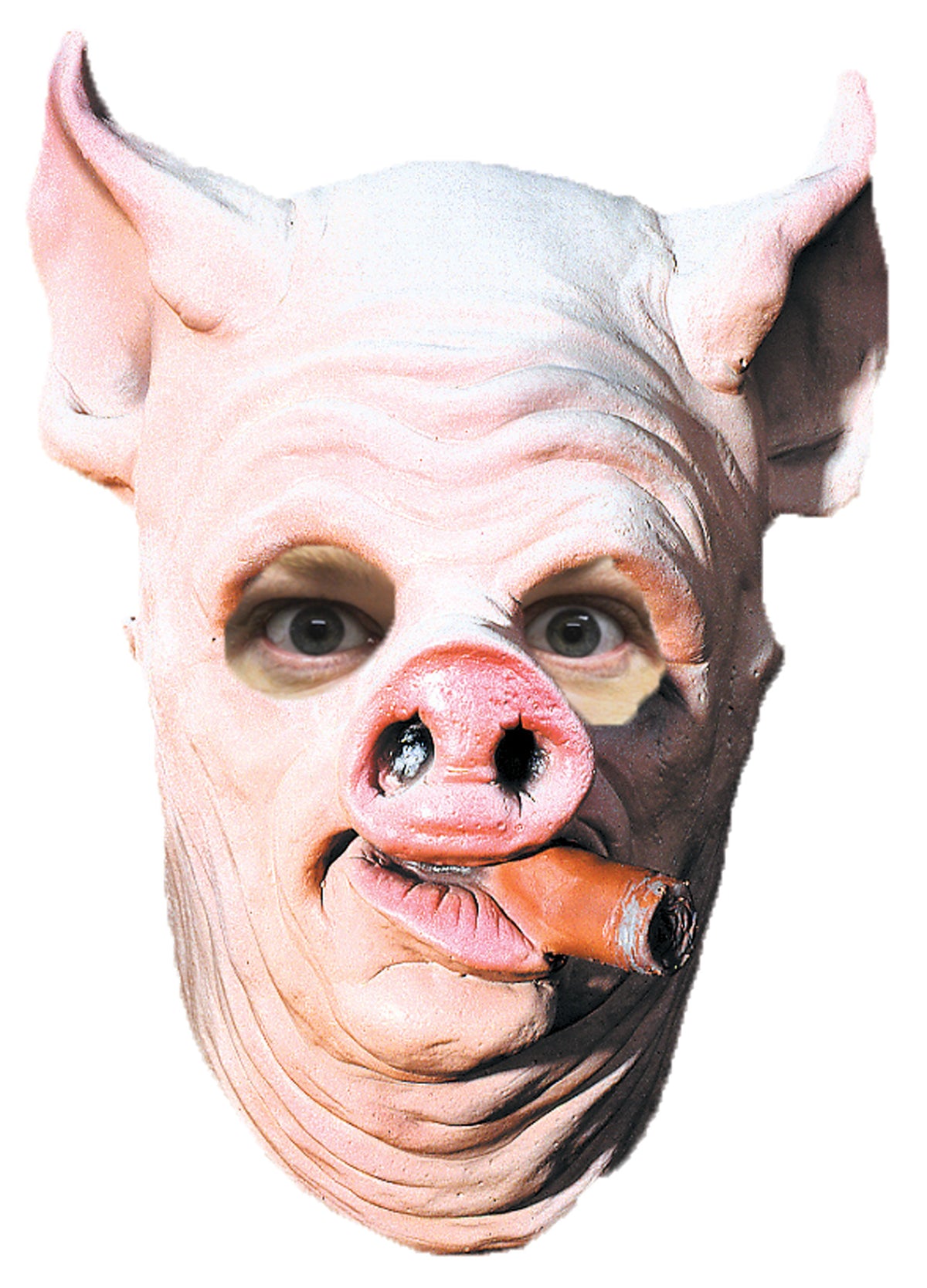 Máscara de Látex Cerdo Glotón, foto 1 de 1